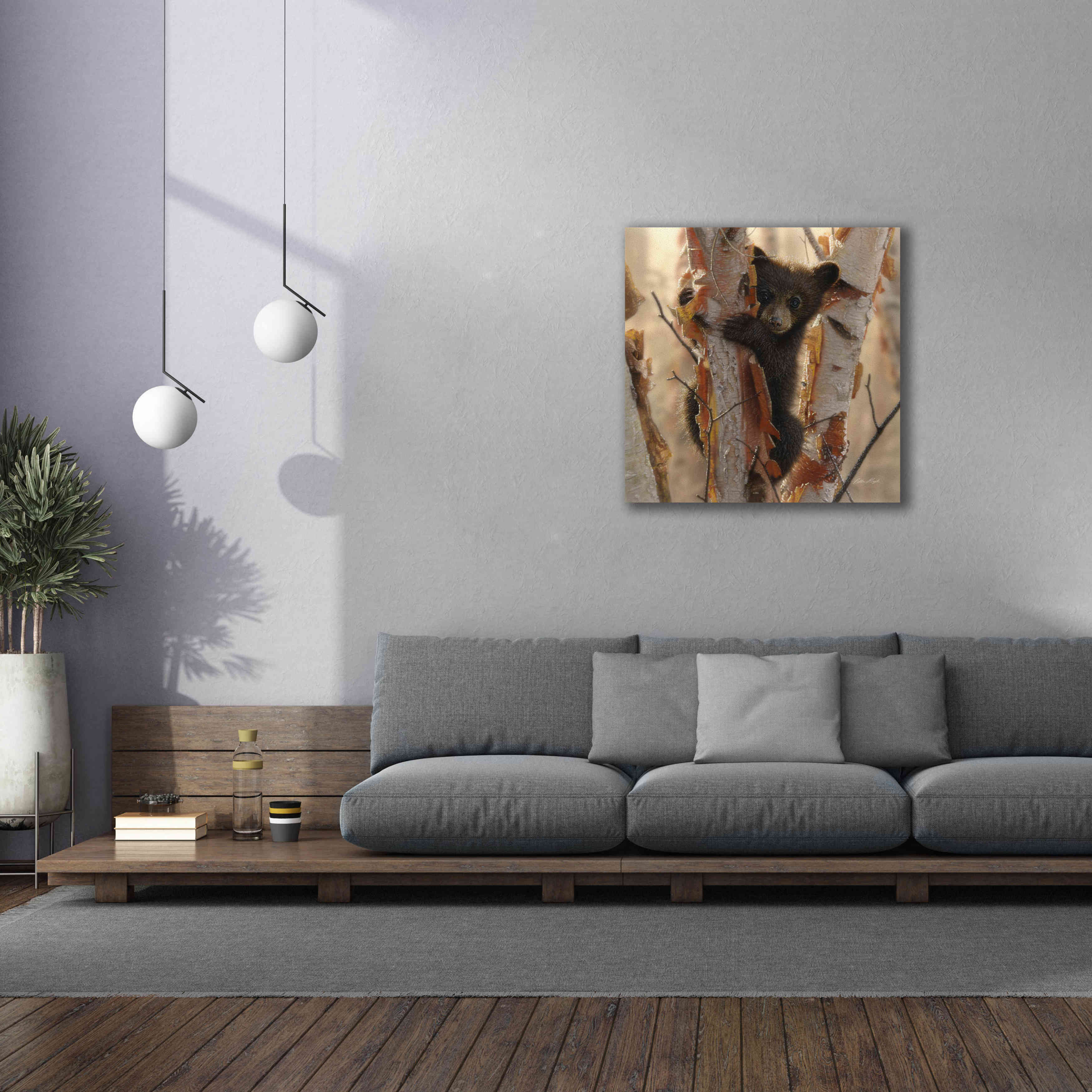 'Curious Cub II' by Collin Bogle, Canvas Wall Art,37x37