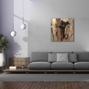'Curious Cub II' by Collin Bogle, Canvas Wall Art,37x37