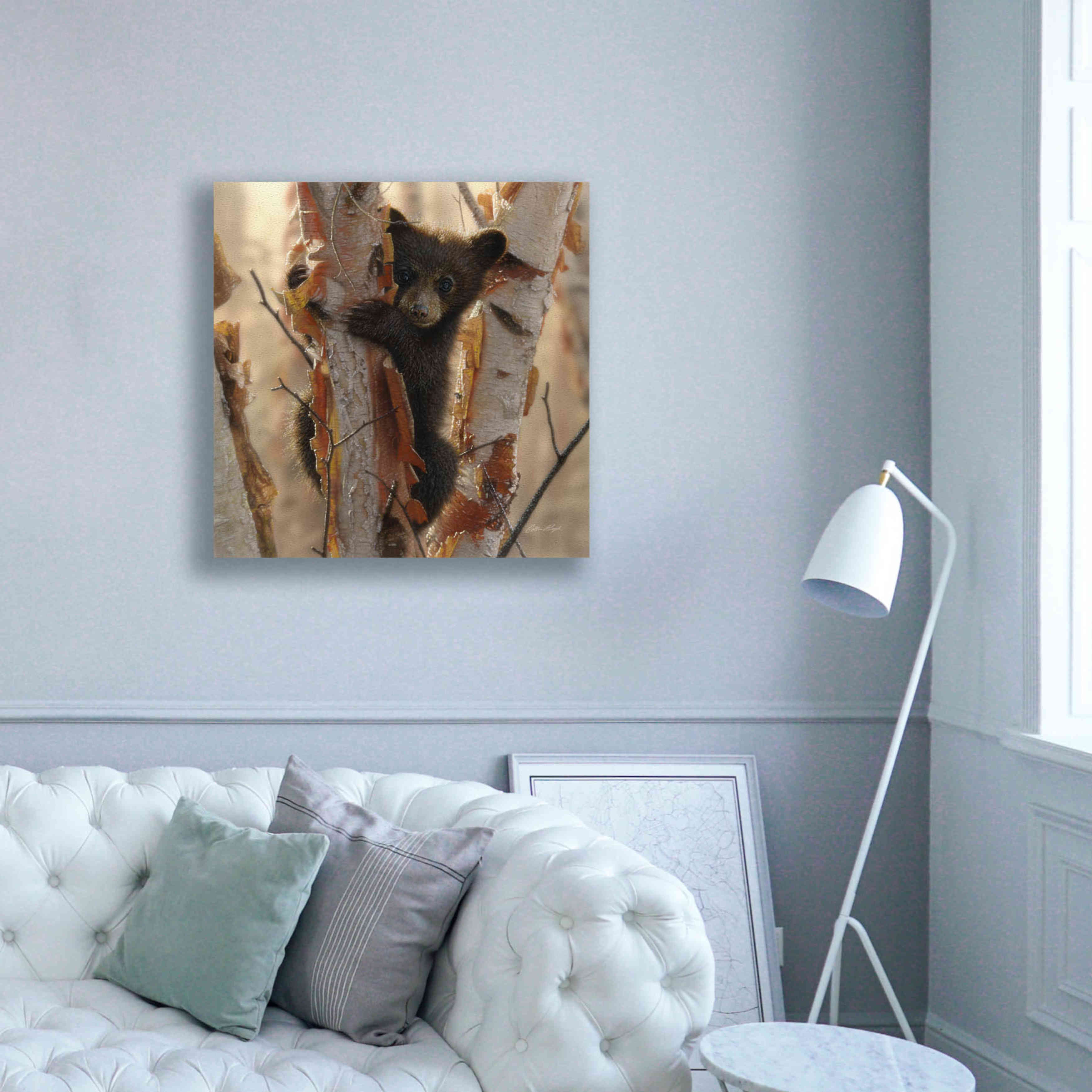 'Curious Cub II' by Collin Bogle, Canvas Wall Art,37x37