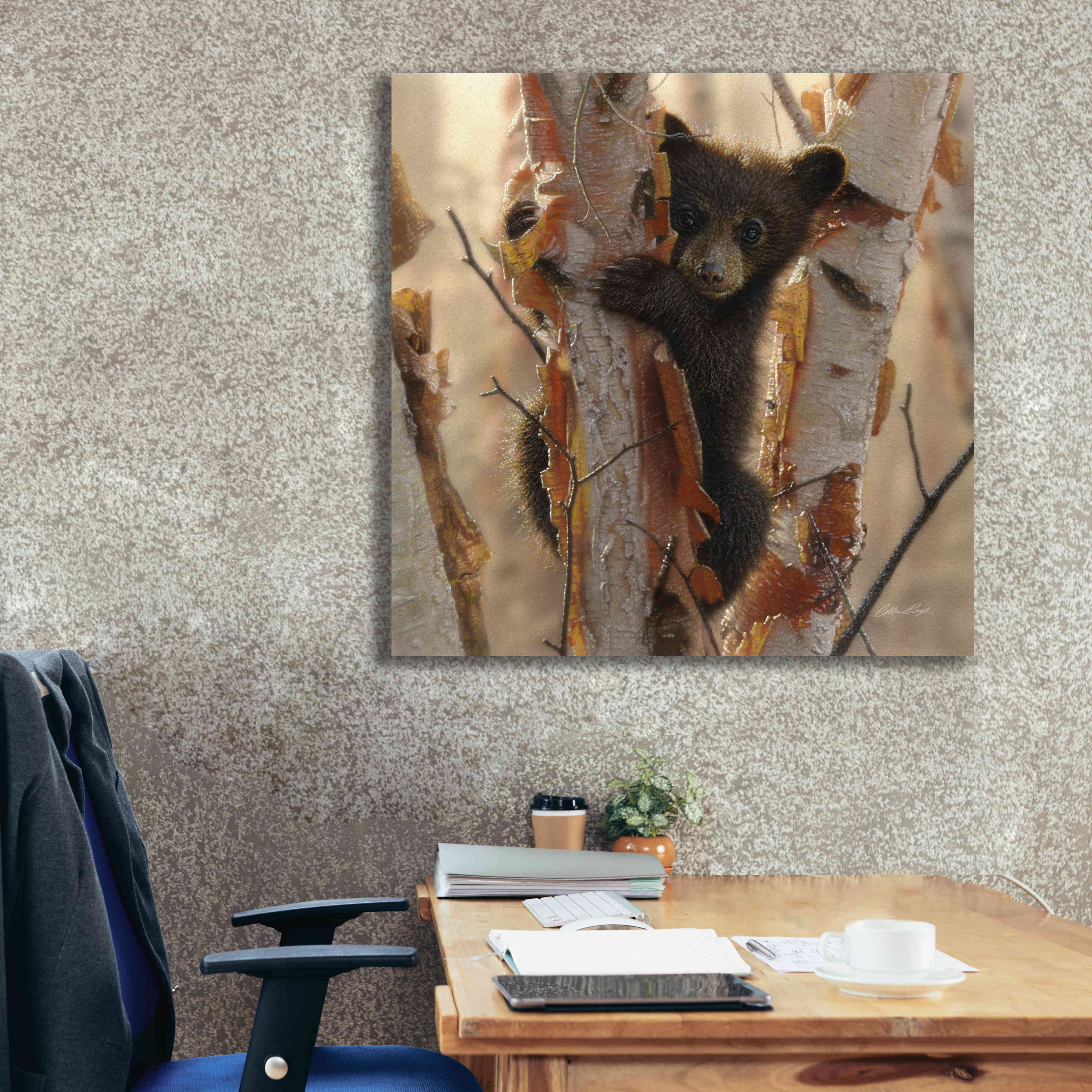'Curious Cub II' by Collin Bogle, Canvas Wall Art,37x37