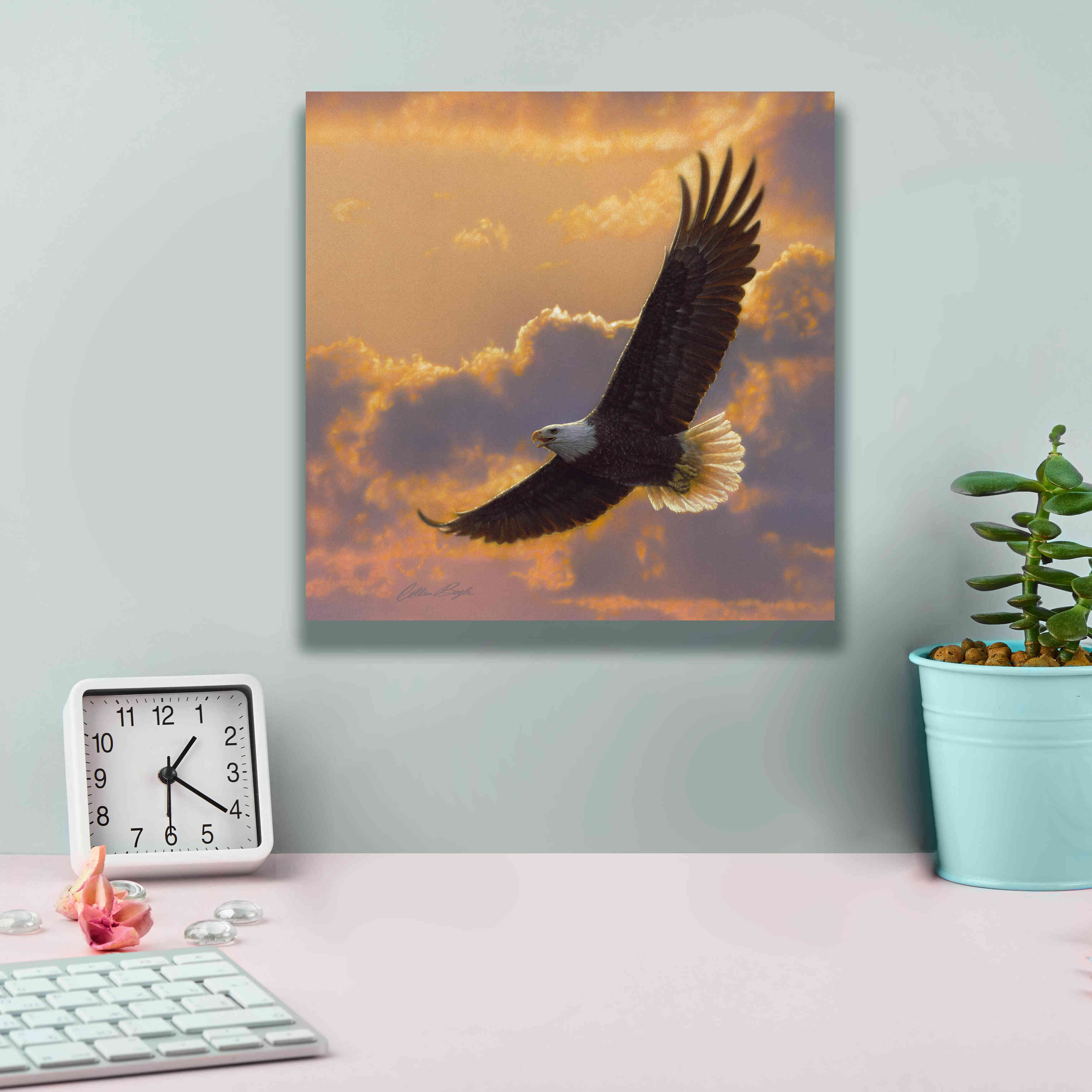 'Soaring Spirit' by Collin Bogle, Canvas Wall Art,12x12