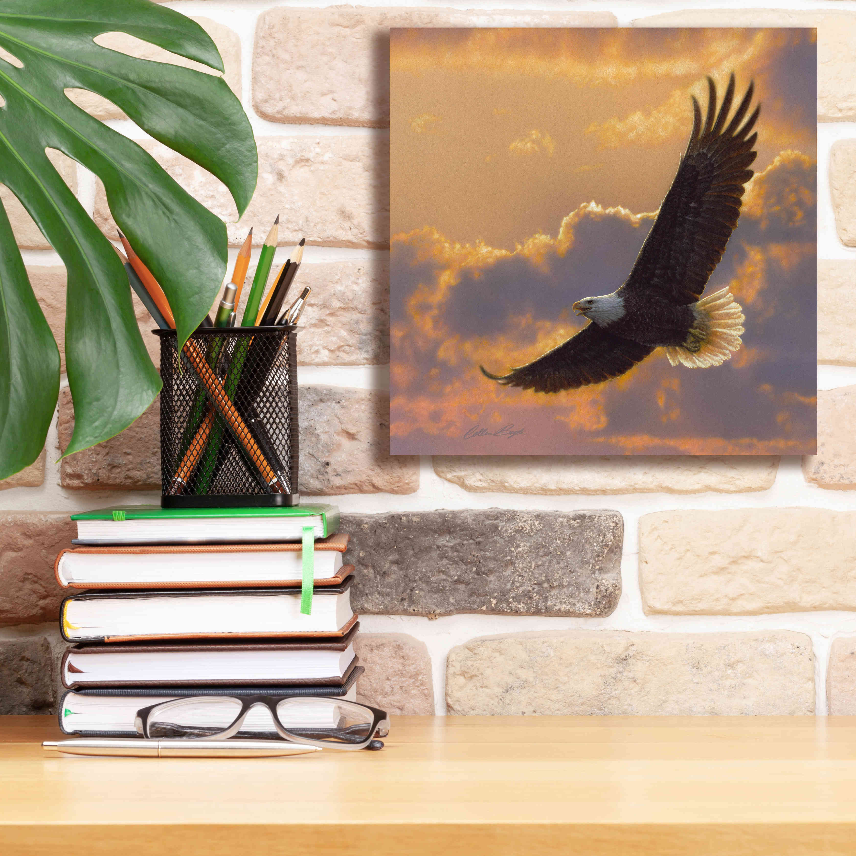 'Soaring Spirit' by Collin Bogle, Canvas Wall Art,12x12