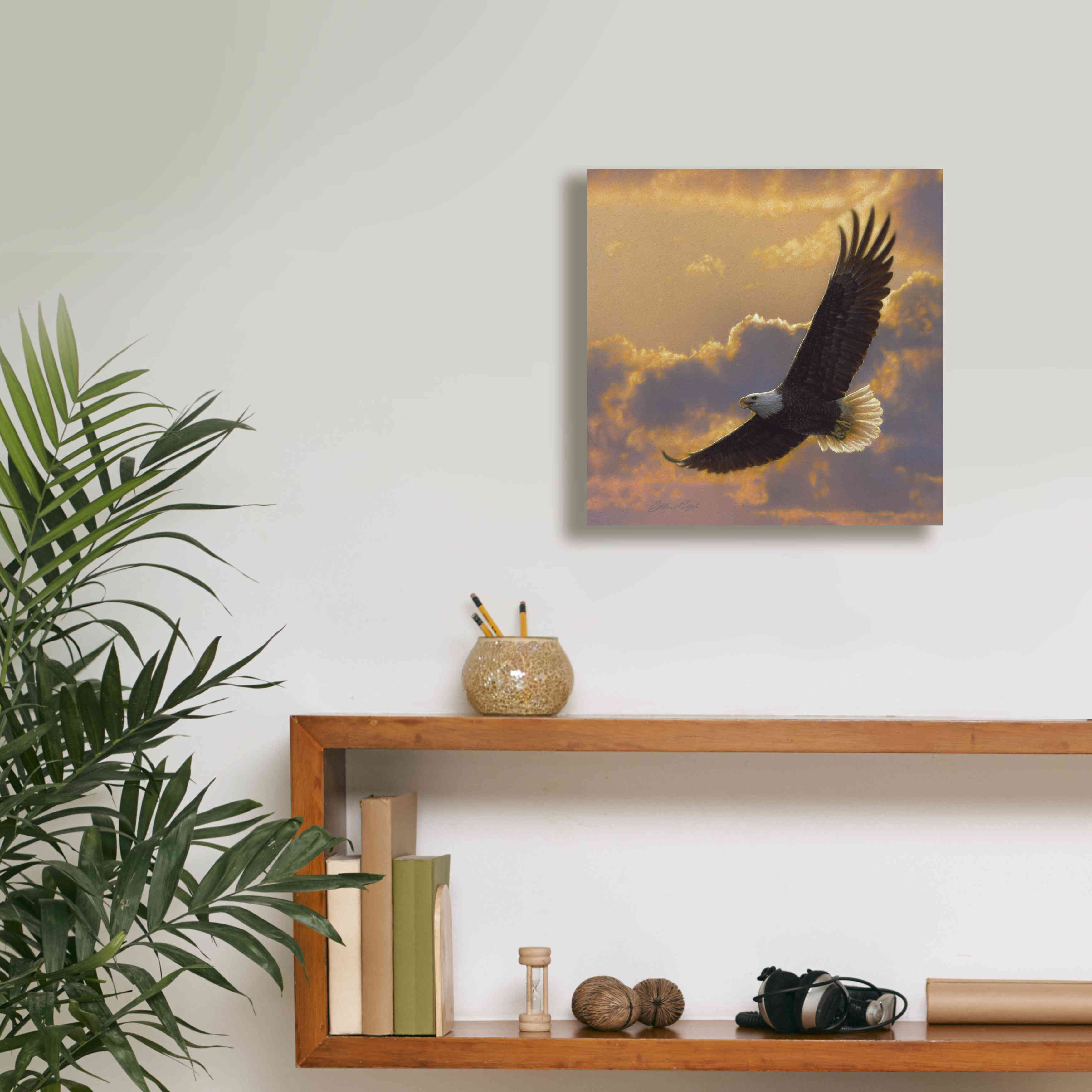 'Soaring Spirit' by Collin Bogle, Canvas Wall Art,12x12
