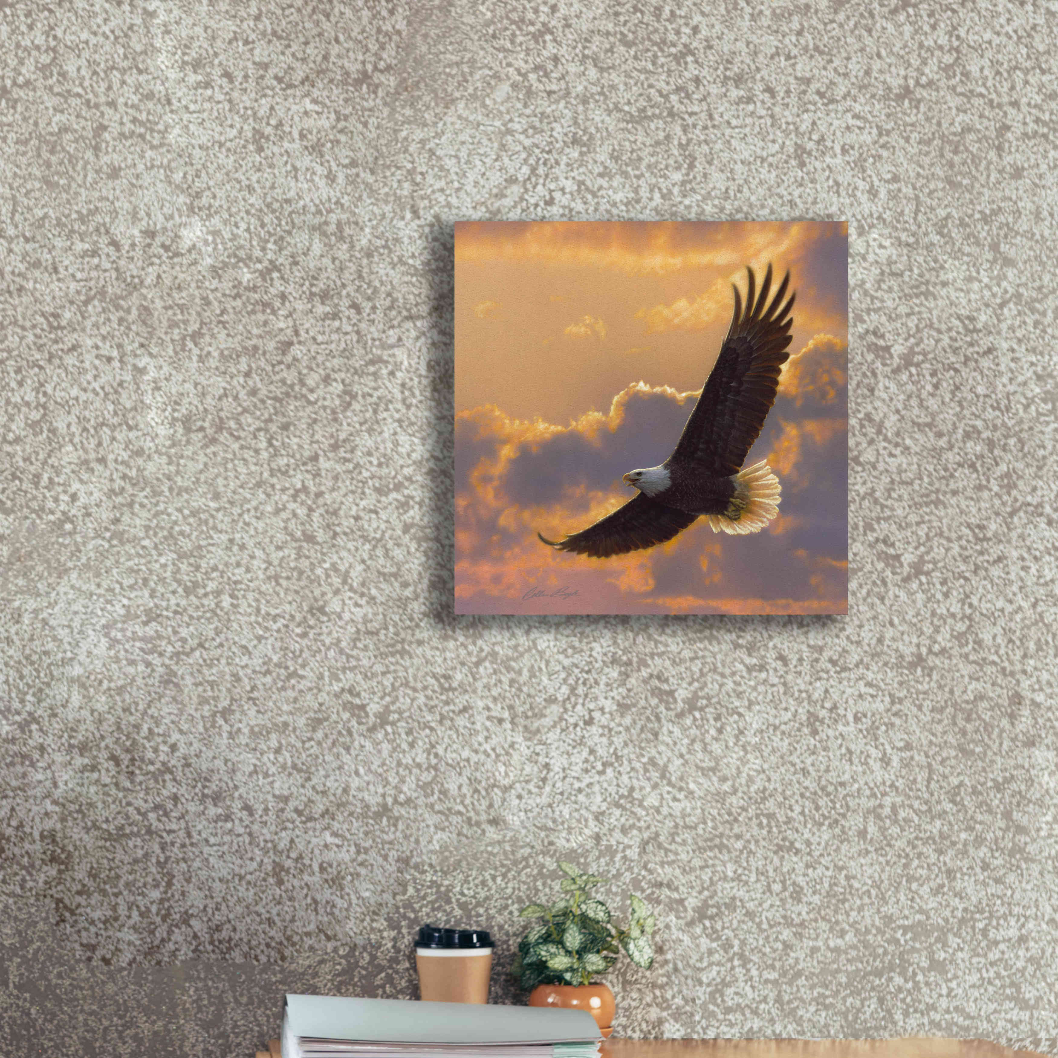 'Soaring Spirit' by Collin Bogle, Canvas Wall Art,18x18