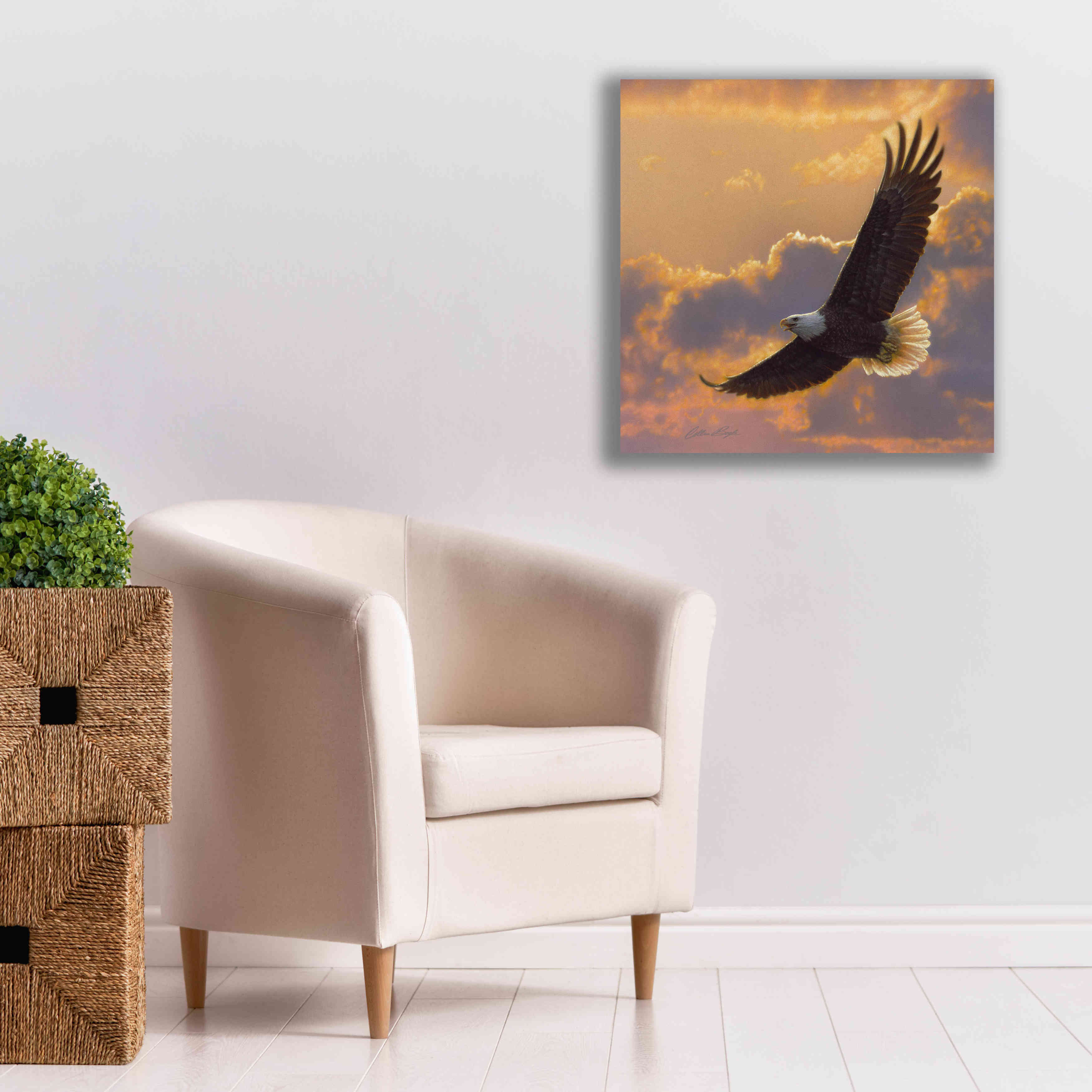 'Soaring Spirit' by Collin Bogle, Canvas Wall Art,26x26