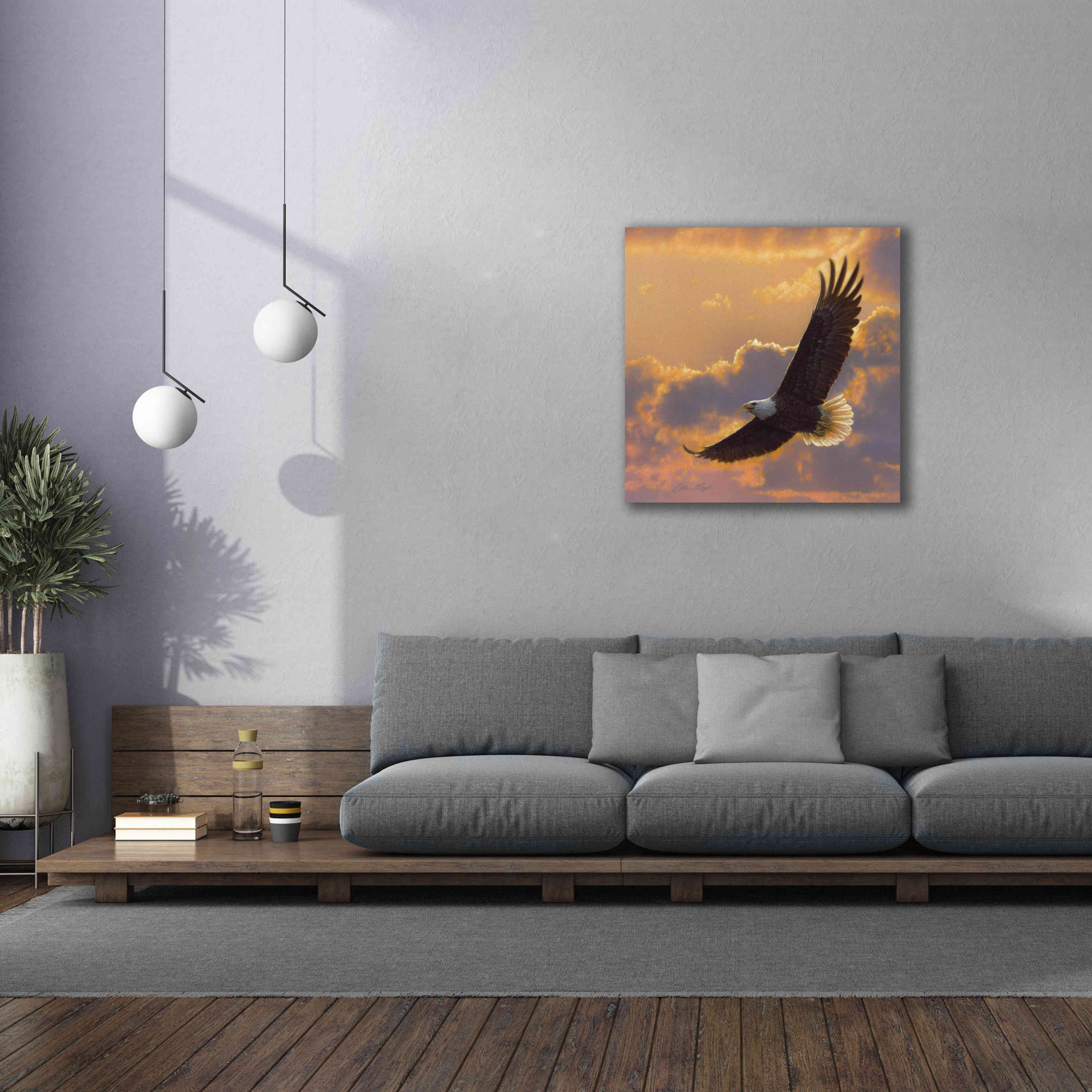 'Soaring Spirit' by Collin Bogle, Canvas Wall Art,37x37