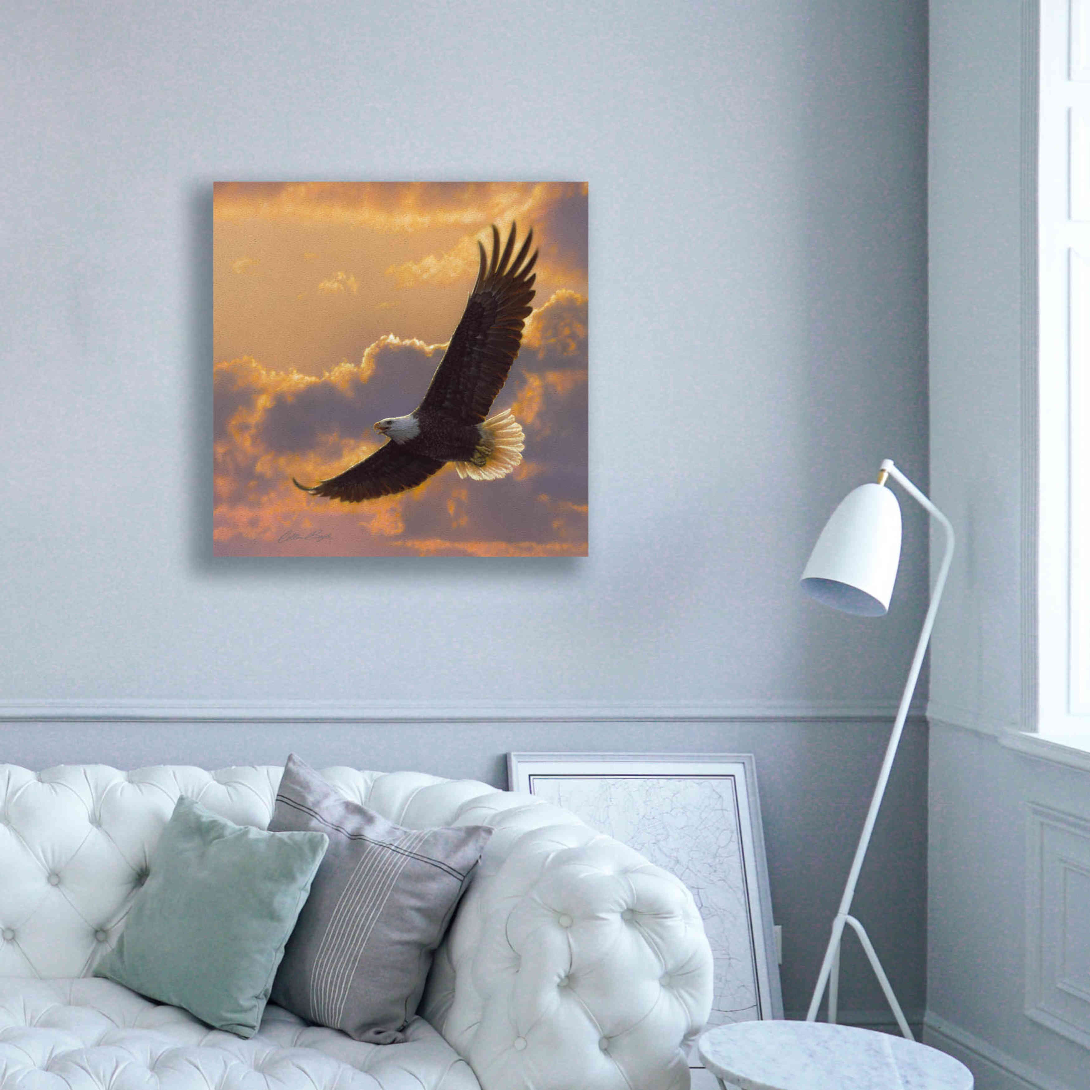 'Soaring Spirit' by Collin Bogle, Canvas Wall Art,37x37