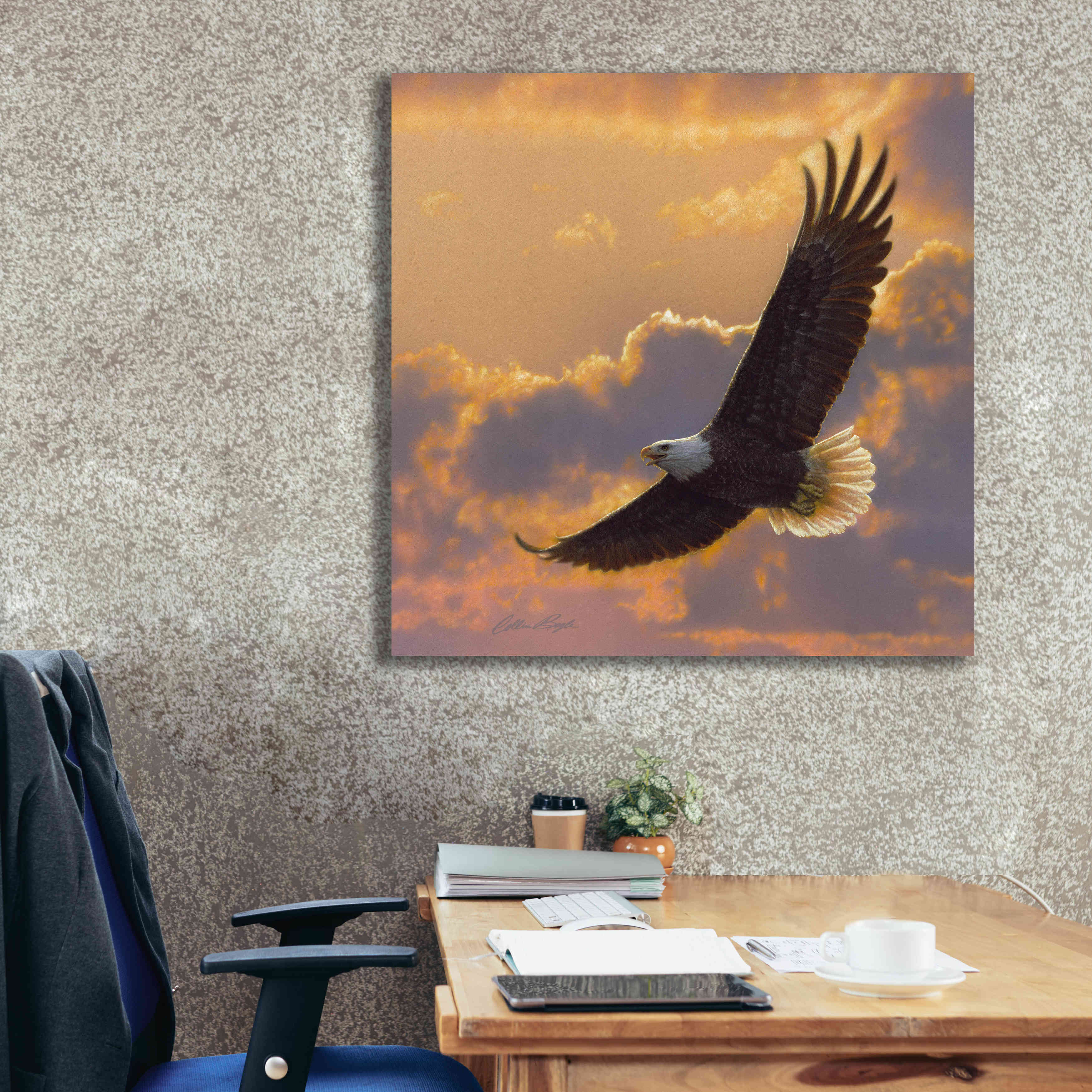 'Soaring Spirit' by Collin Bogle, Canvas Wall Art,37x37