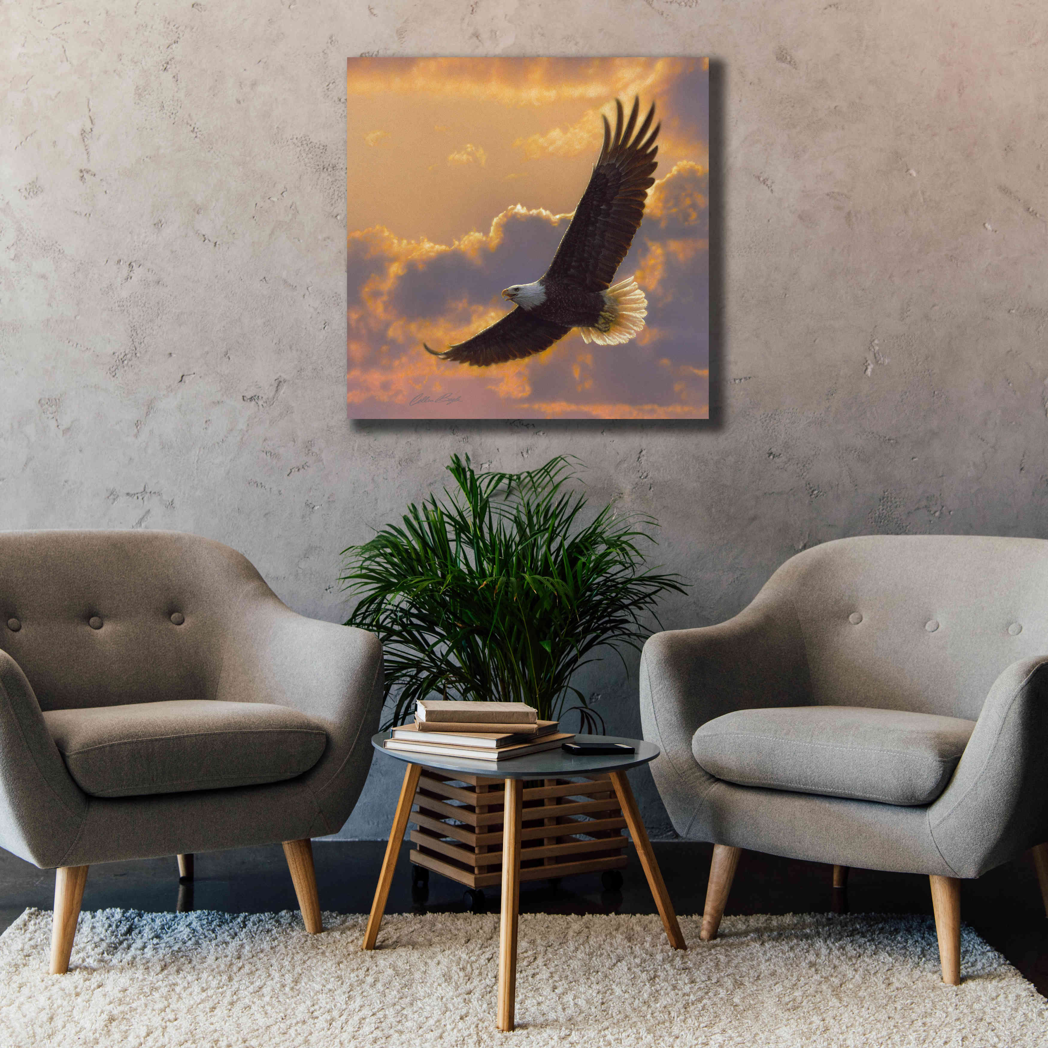 'Soaring Spirit' by Collin Bogle, Canvas Wall Art,37x37