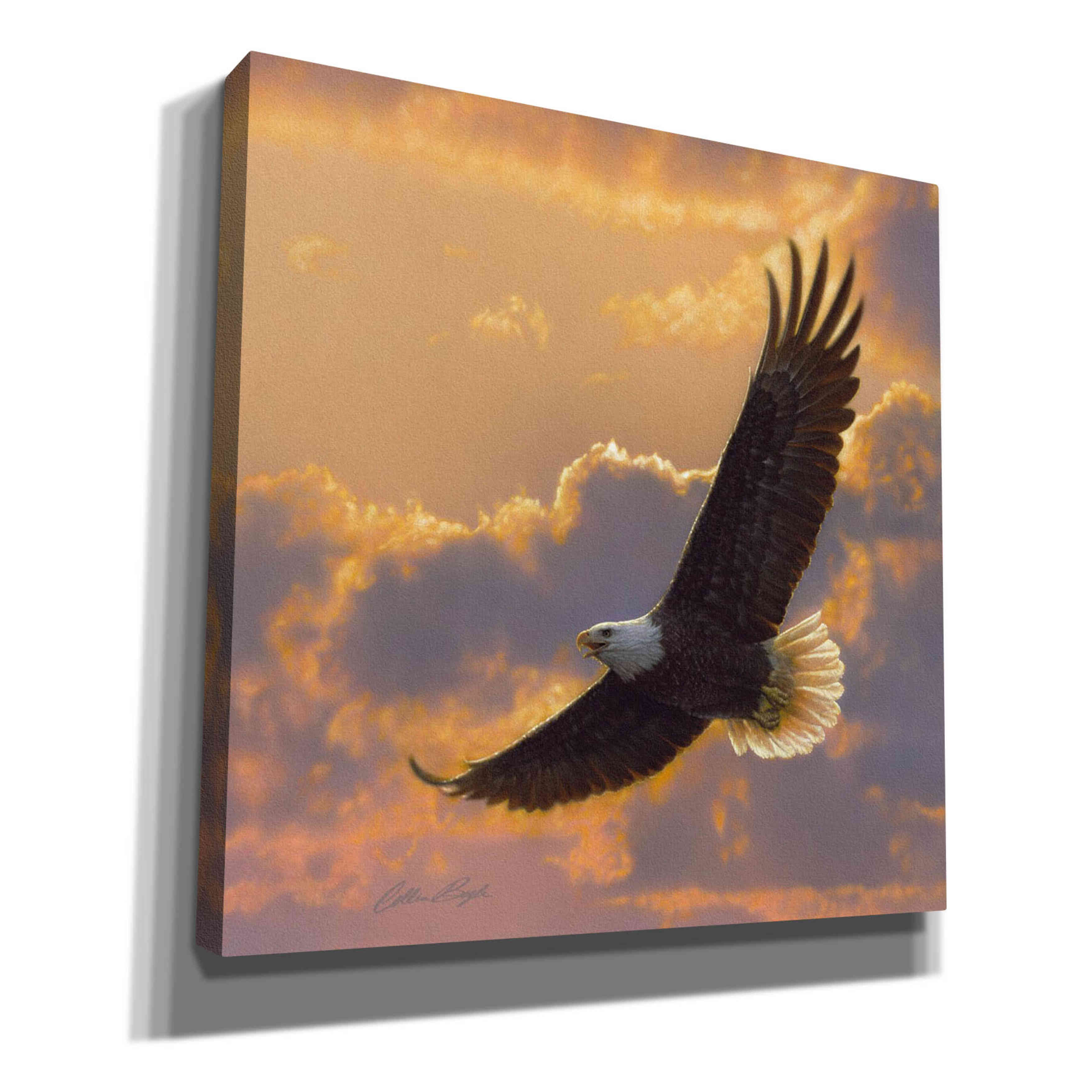 'Soaring Spirit' by Collin Bogle, Canvas Wall Art,Size 1 Square