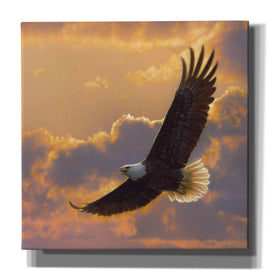 'Soaring Spirit' by Collin Bogle, Canvas Wall Art,Size 1 Square