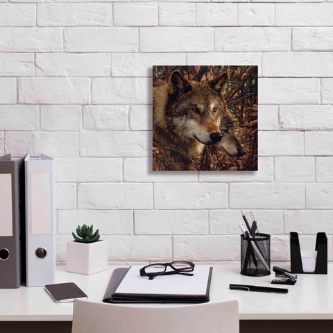 Image of 'Colors of Autumn' by Collin Bogle, Canvas Wall Art,12x12