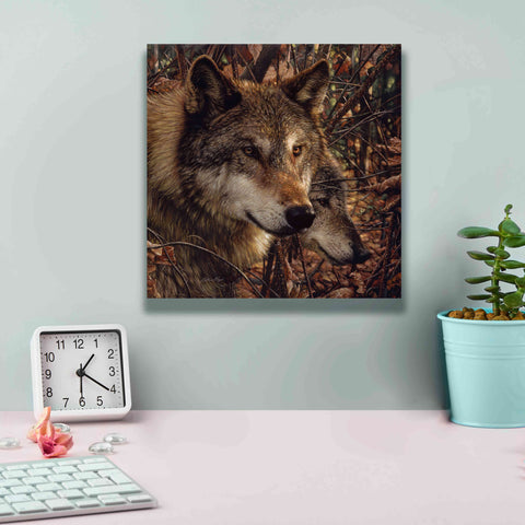 Image of 'Colors of Autumn' by Collin Bogle, Canvas Wall Art,12x12