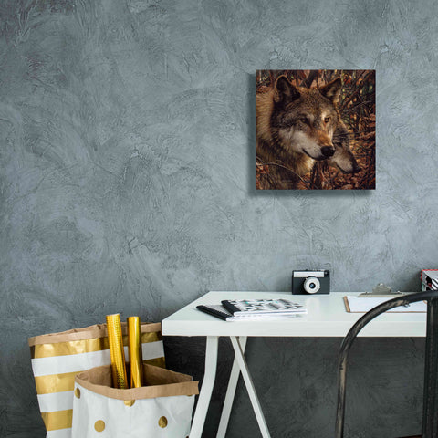 Image of 'Colors of Autumn' by Collin Bogle, Canvas Wall Art,12x12