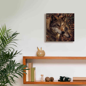 'Colors of Autumn' by Collin Bogle, Canvas Wall Art,12x12
