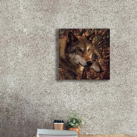 Image of 'Colors of Autumn' by Collin Bogle, Canvas Wall Art,18x18
