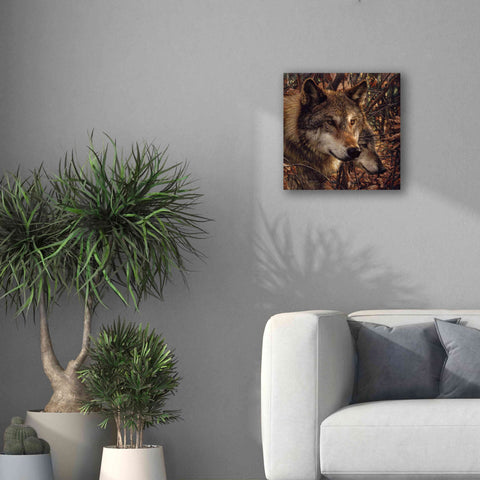 Image of 'Colors of Autumn' by Collin Bogle, Canvas Wall Art,18x18