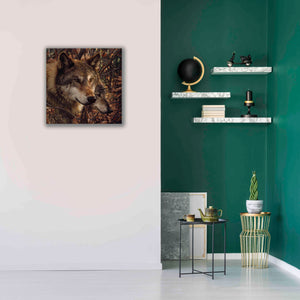'Colors of Autumn' by Collin Bogle, Canvas Wall Art,26x26