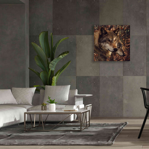 Image of 'Colors of Autumn' by Collin Bogle, Canvas Wall Art,37x37