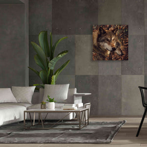 'Colors of Autumn' by Collin Bogle, Canvas Wall Art,37x37