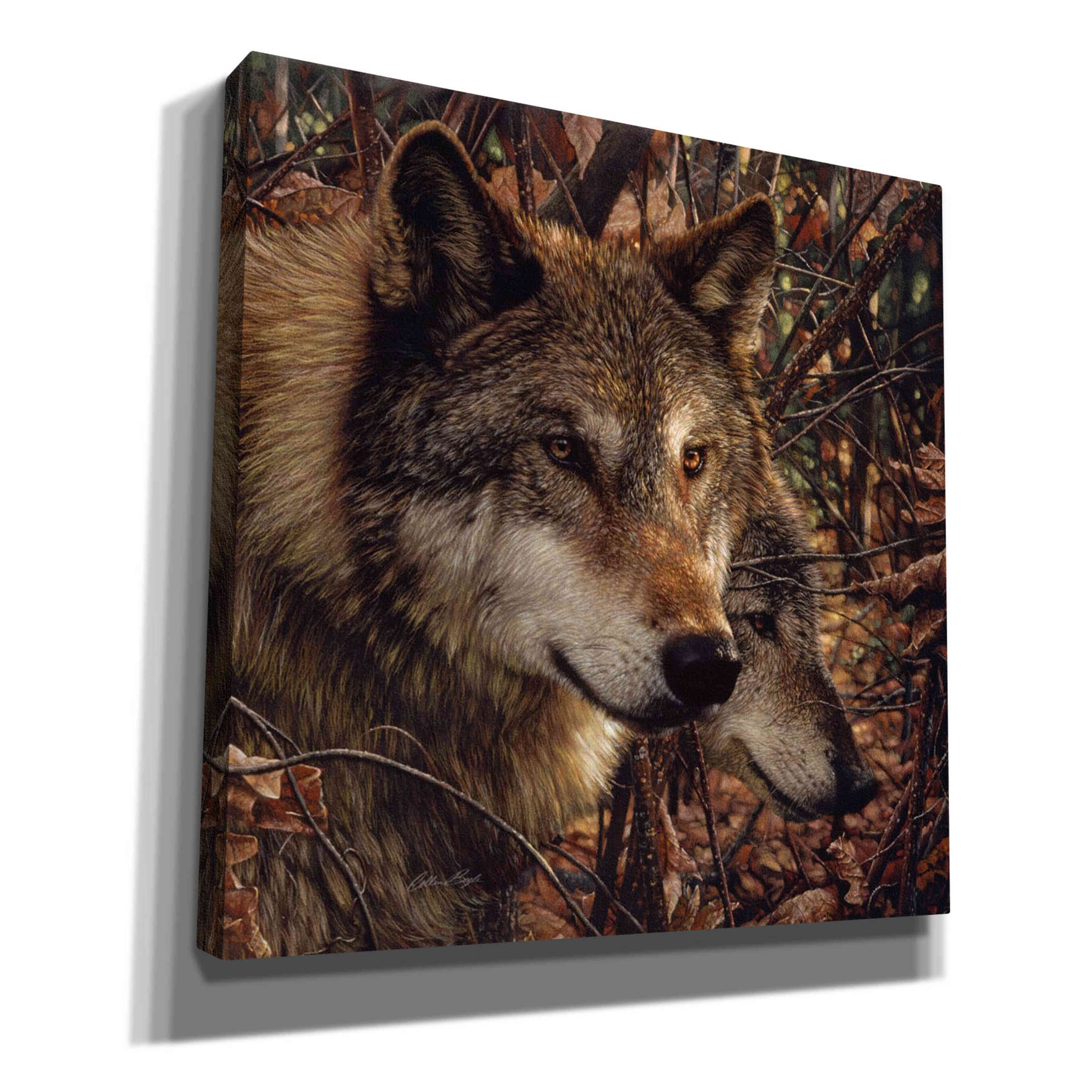 'Colors of Autumn' by Collin Bogle, Canvas Wall Art,Size 1 Square