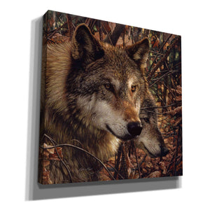 'Colors of Autumn' by Collin Bogle, Canvas Wall Art,Size 1 Square