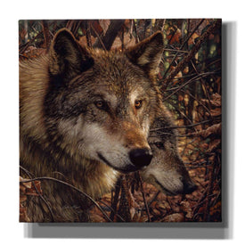 'Colors of Autumn' by Collin Bogle, Canvas Wall Art,Size 1 Square