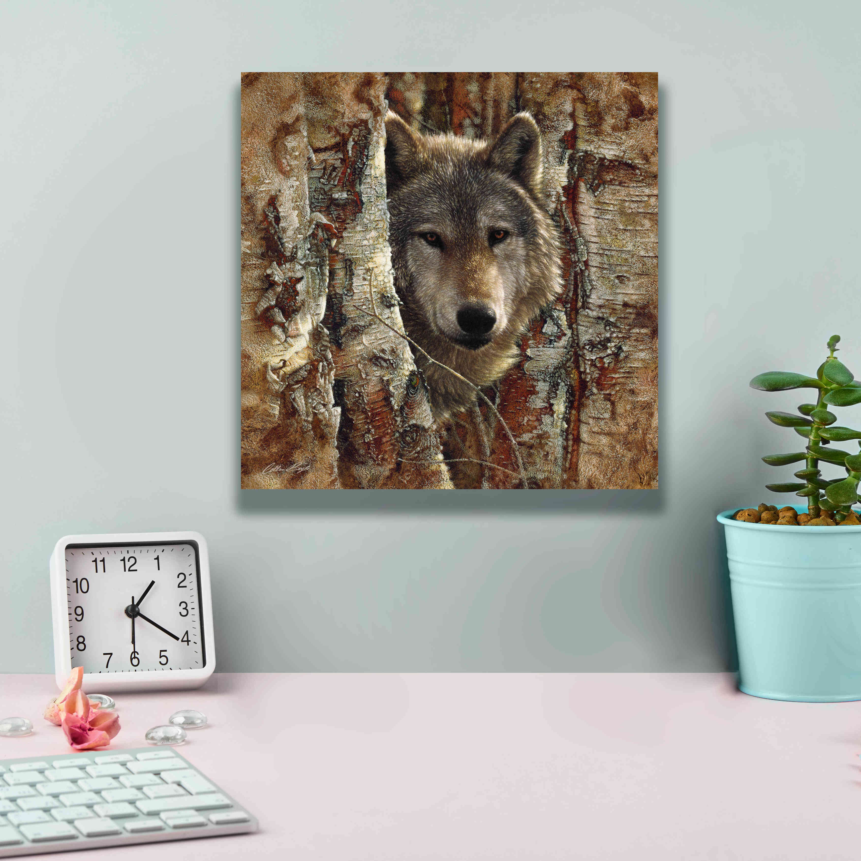 'Wolf Spirit' by Collin Bogle, Canvas Wall Art,12x12