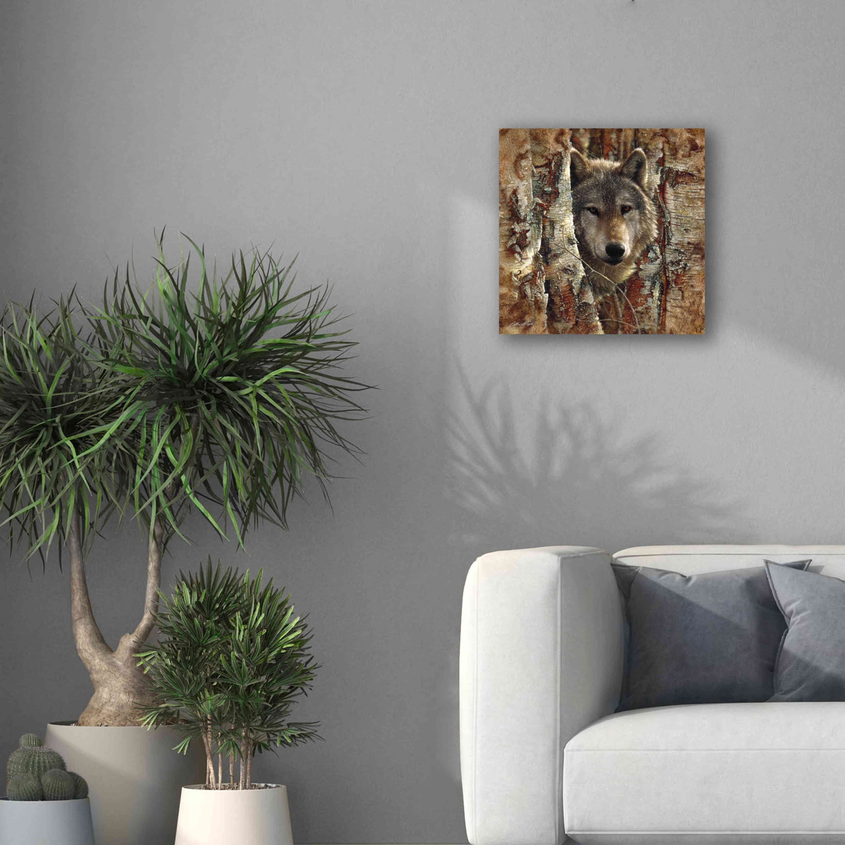'Wolf Spirit' by Collin Bogle, Canvas Wall Art,18x18
