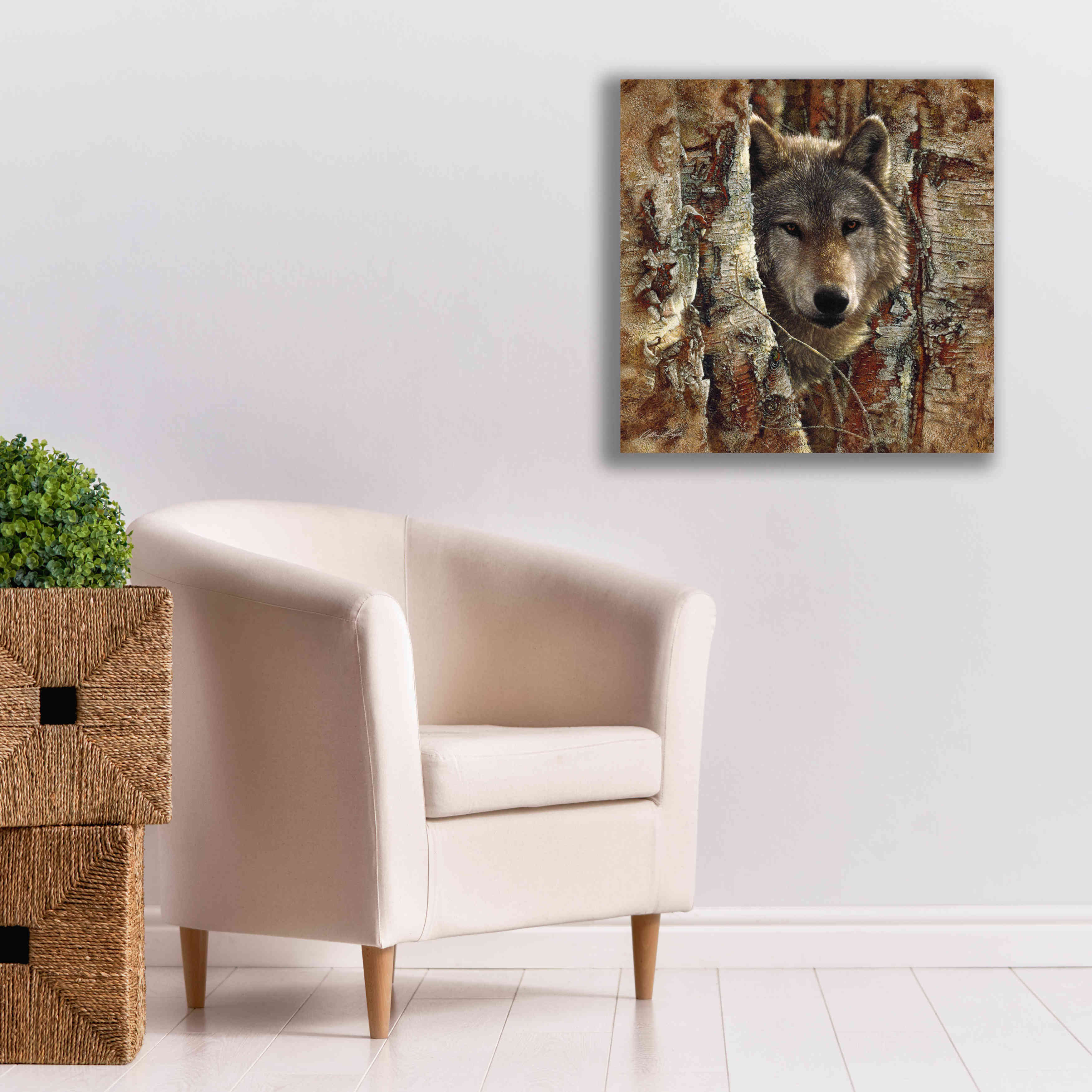 'Wolf Spirit' by Collin Bogle, Canvas Wall Art,26x26