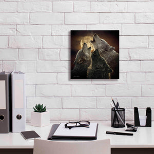 'Wolf Trinity' by Collin Bogle, Canvas Wall Art,12x12