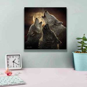 'Wolf Trinity' by Collin Bogle, Canvas Wall Art,12x12
