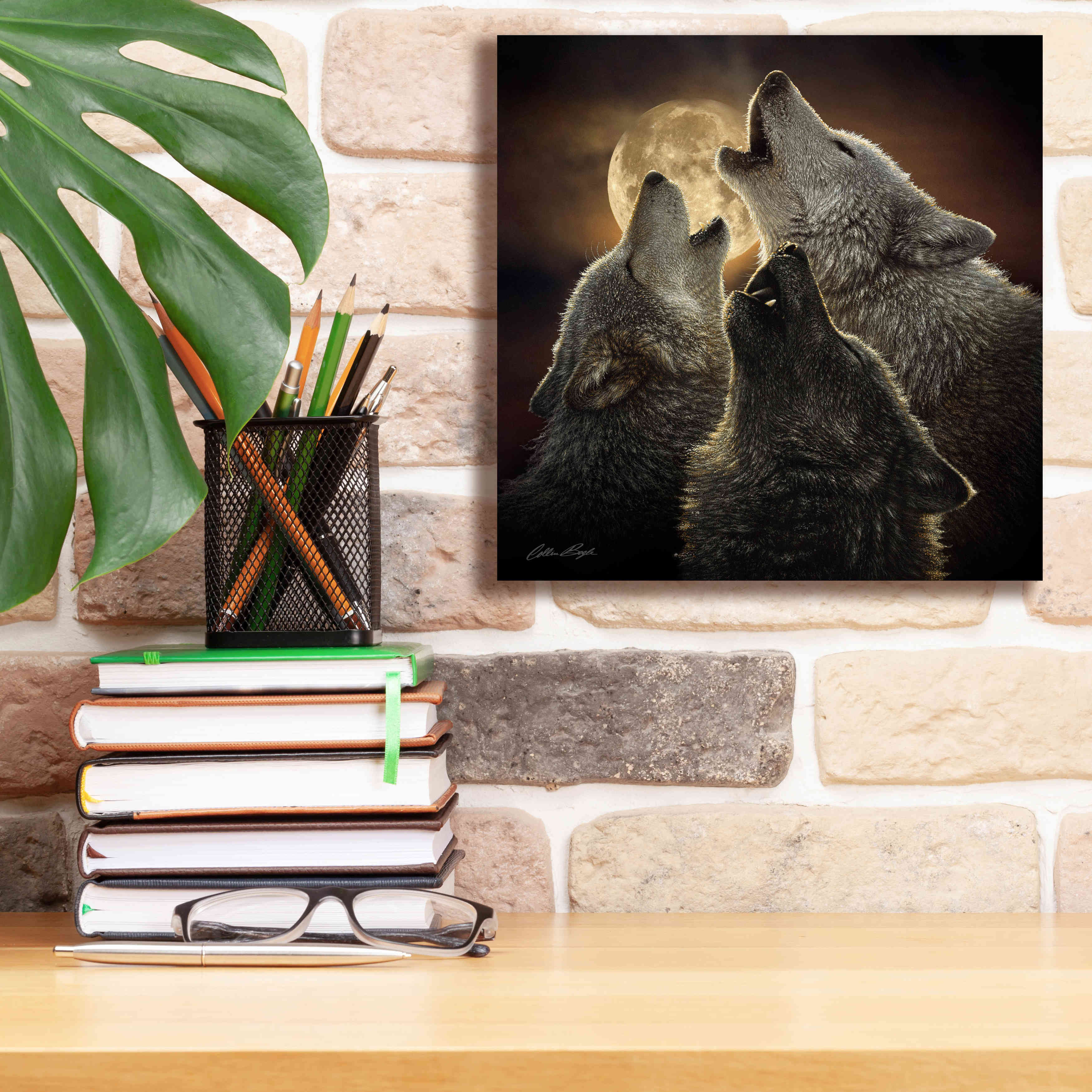 'Wolf Trinity' by Collin Bogle, Canvas Wall Art,12x12
