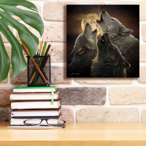 'Wolf Trinity' by Collin Bogle, Canvas Wall Art,12x12
