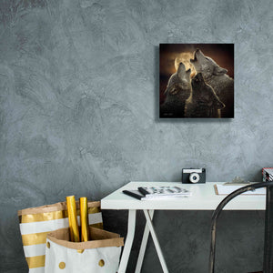 'Wolf Trinity' by Collin Bogle, Canvas Wall Art,12x12