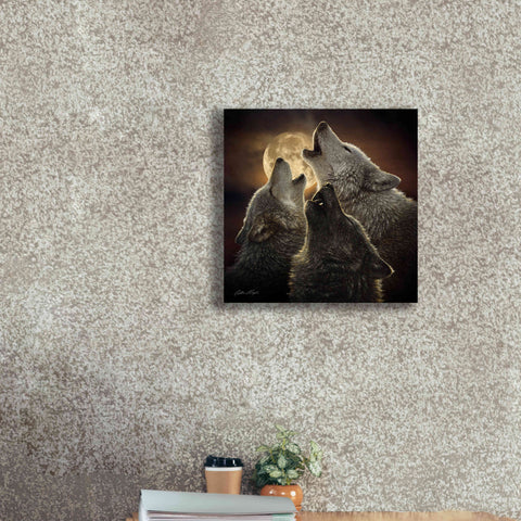 Image of 'Wolf Trinity' by Collin Bogle, Canvas Wall Art,18x18