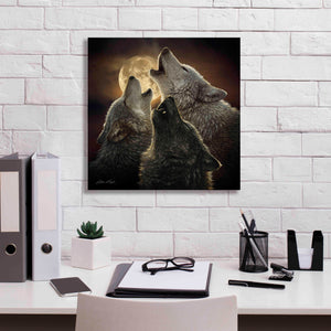 'Wolf Trinity' by Collin Bogle, Canvas Wall Art,18x18