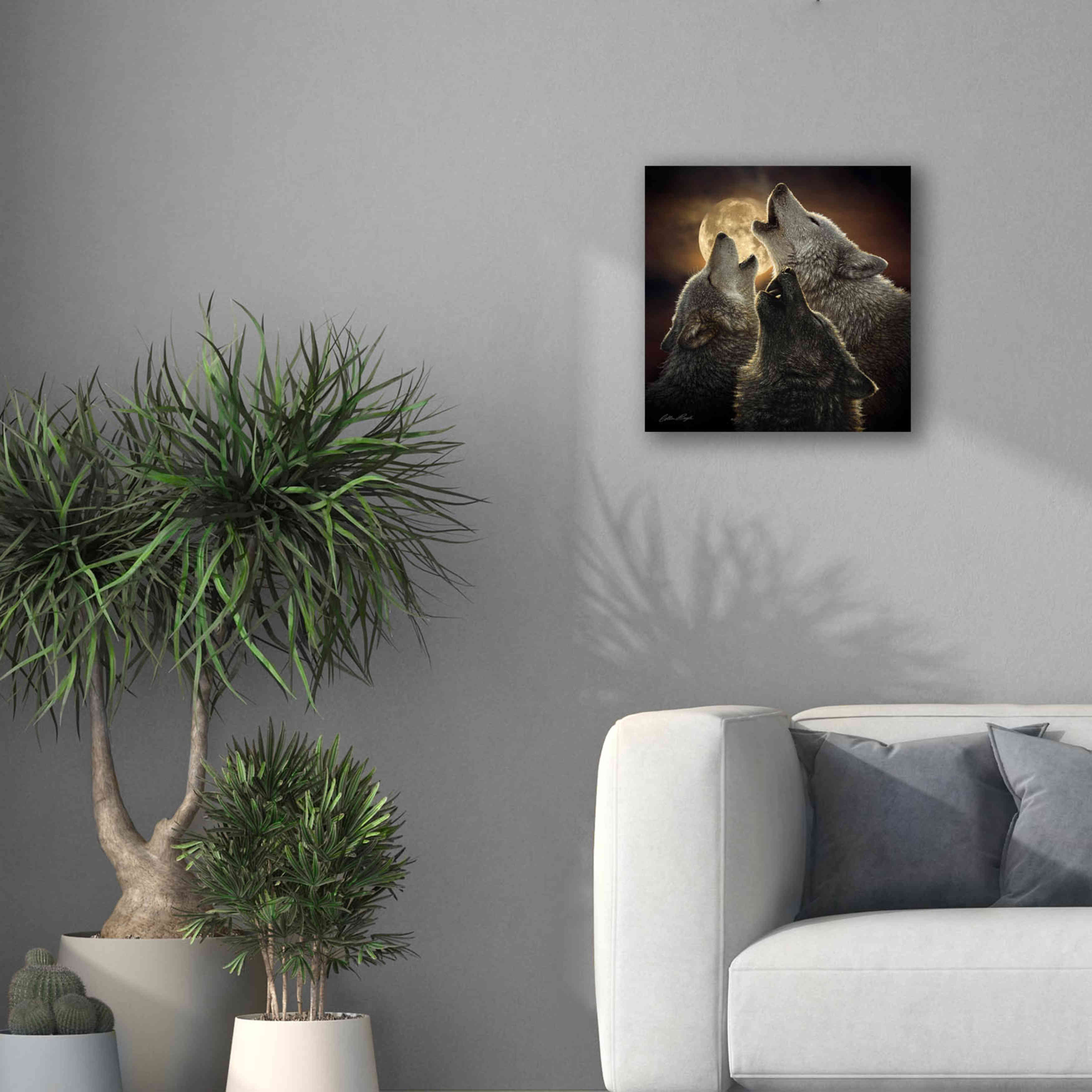'Wolf Trinity' by Collin Bogle, Canvas Wall Art,18x18