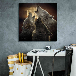 'Wolf Trinity' by Collin Bogle, Canvas Wall Art,26x26