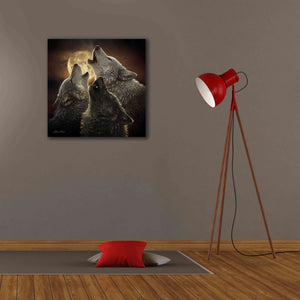 'Wolf Trinity' by Collin Bogle, Canvas Wall Art,26x26