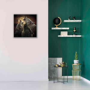 'Wolf Trinity' by Collin Bogle, Canvas Wall Art,26x26