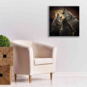 'Wolf Trinity' by Collin Bogle, Canvas Wall Art,26x26
