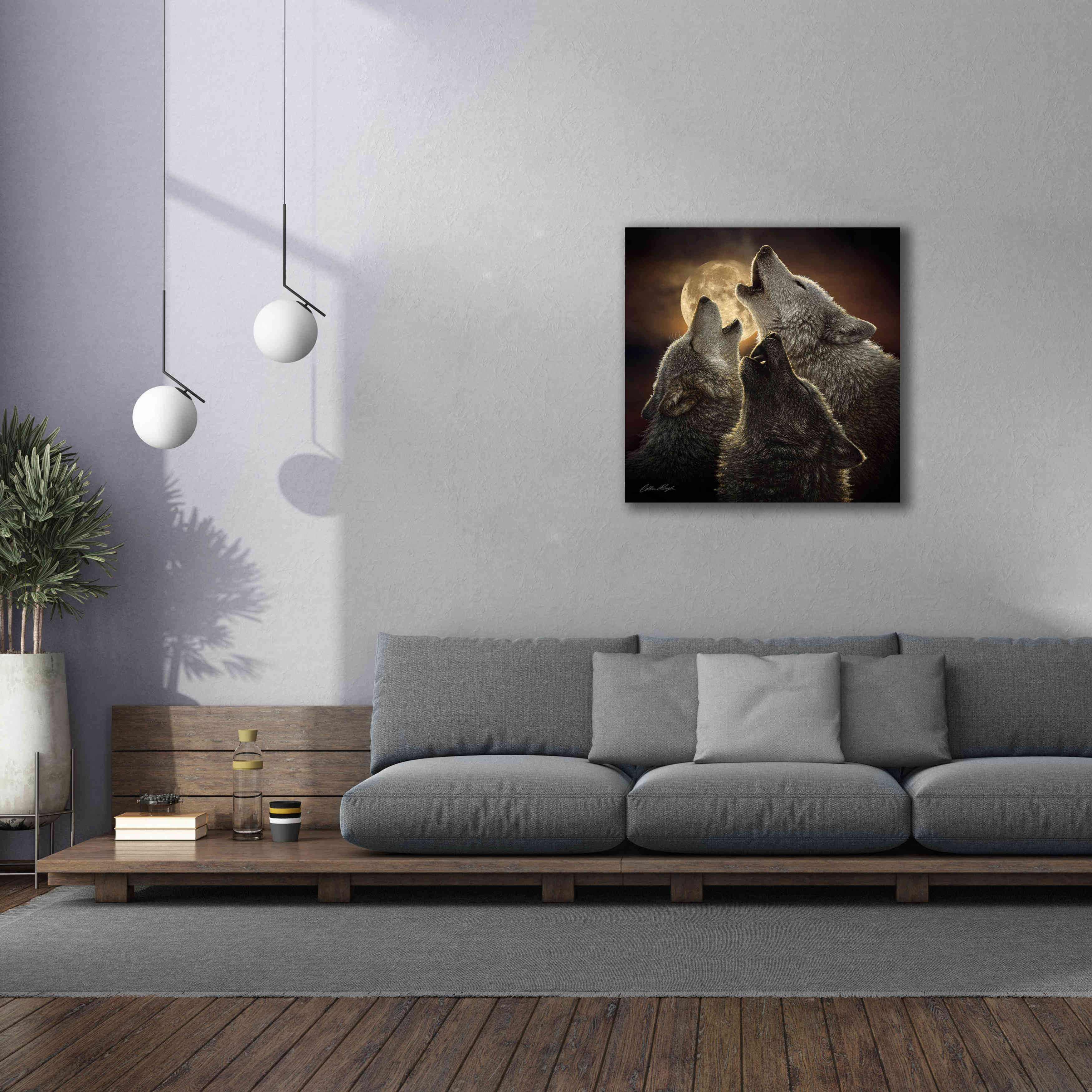 'Wolf Trinity' by Collin Bogle, Canvas Wall Art,37x37