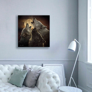 'Wolf Trinity' by Collin Bogle, Canvas Wall Art,37x37