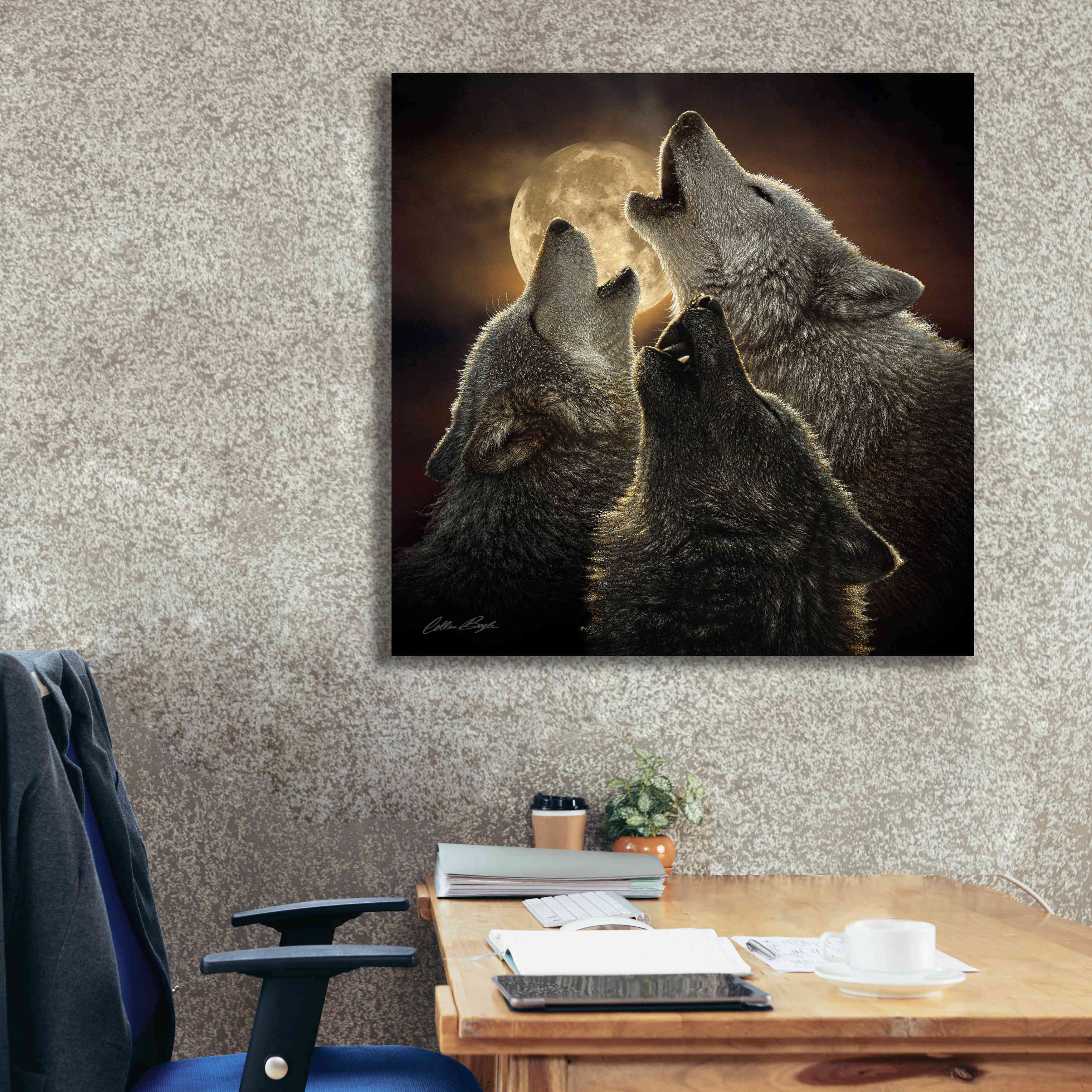 'Wolf Trinity' by Collin Bogle, Canvas Wall Art,37x37