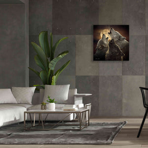 'Wolf Trinity' by Collin Bogle, Canvas Wall Art,37x37