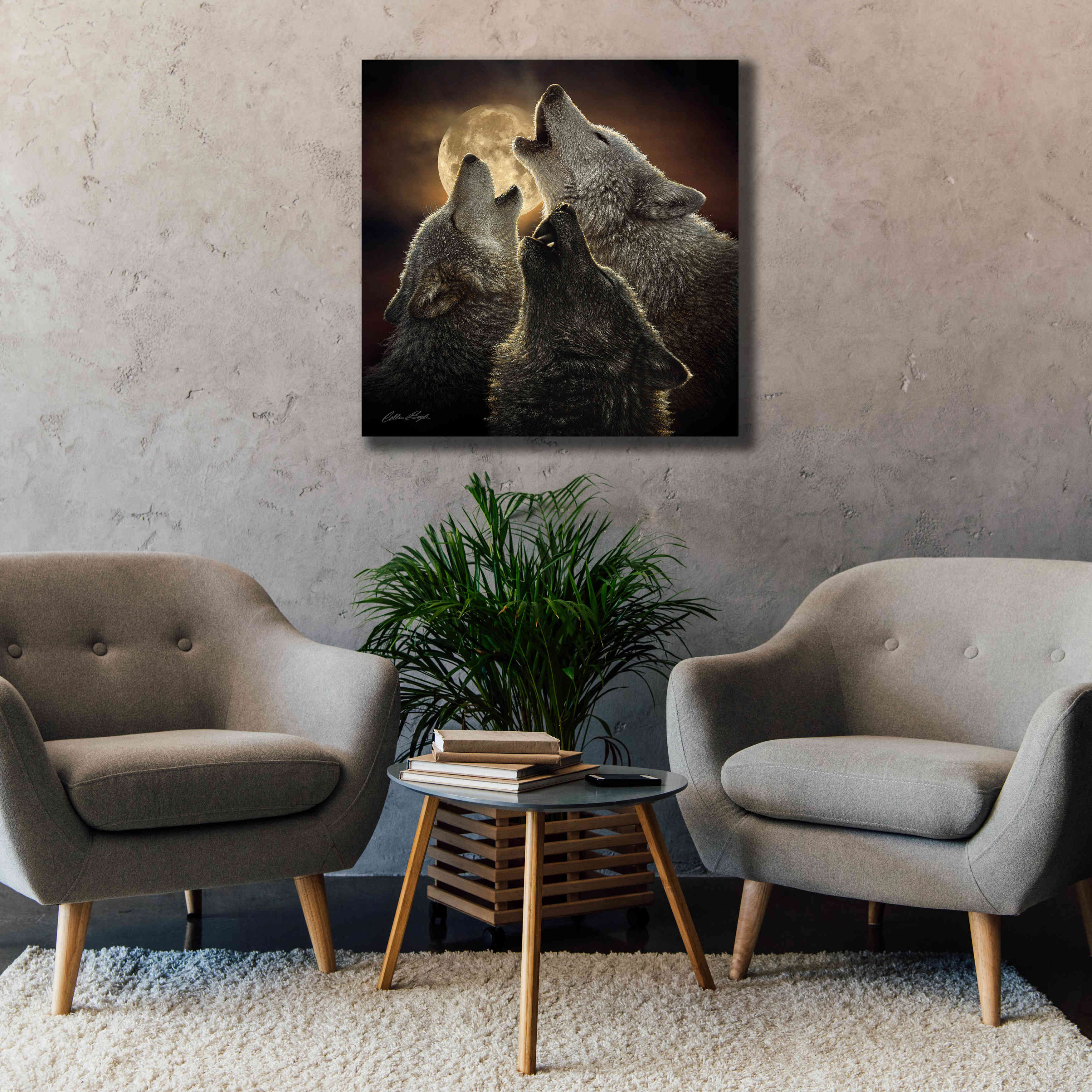 'Wolf Trinity' by Collin Bogle, Canvas Wall Art,37x37