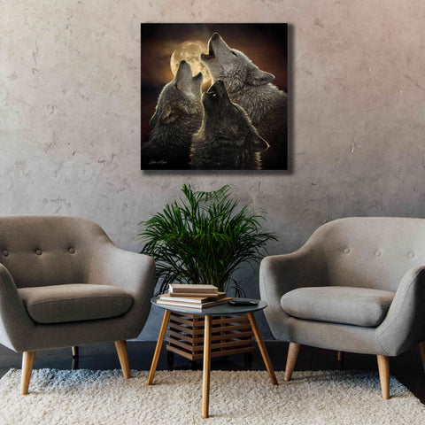 Image of 'Wolf Trinity' by Collin Bogle, Canvas Wall Art,37x37