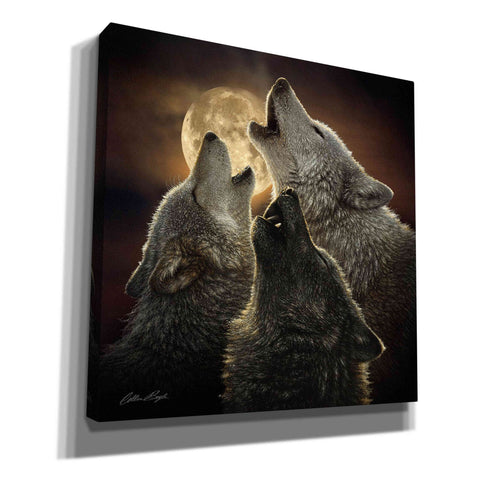 Image of 'Wolf Trinity' by Collin Bogle, Canvas Wall Art,Size 1 Square