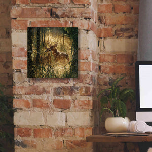 'A Golden Moment' by Collin Bogle, Canvas Wall Art,12x12